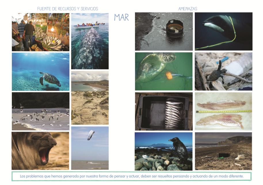 Tema: biodiversidad del mar argentino Título de la actividad: Una fuente de tesoros Sabías que los mares poseen los mayores recursos naturales del mundo?