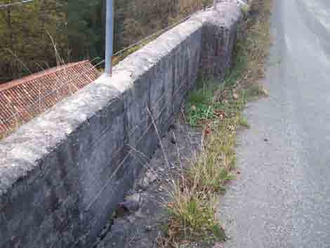 Imagen 4: Vista de deterioro en coronación del muro (II).