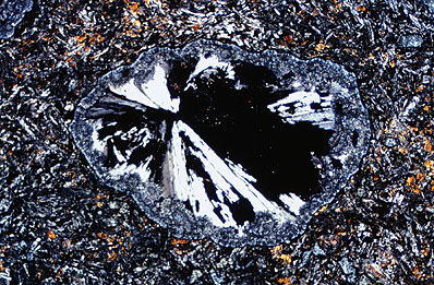 En la siguiente fotografia se muestra una biotita euhegral a subhedral y cristales de plagioclasa rodeados por feldespato potásico.