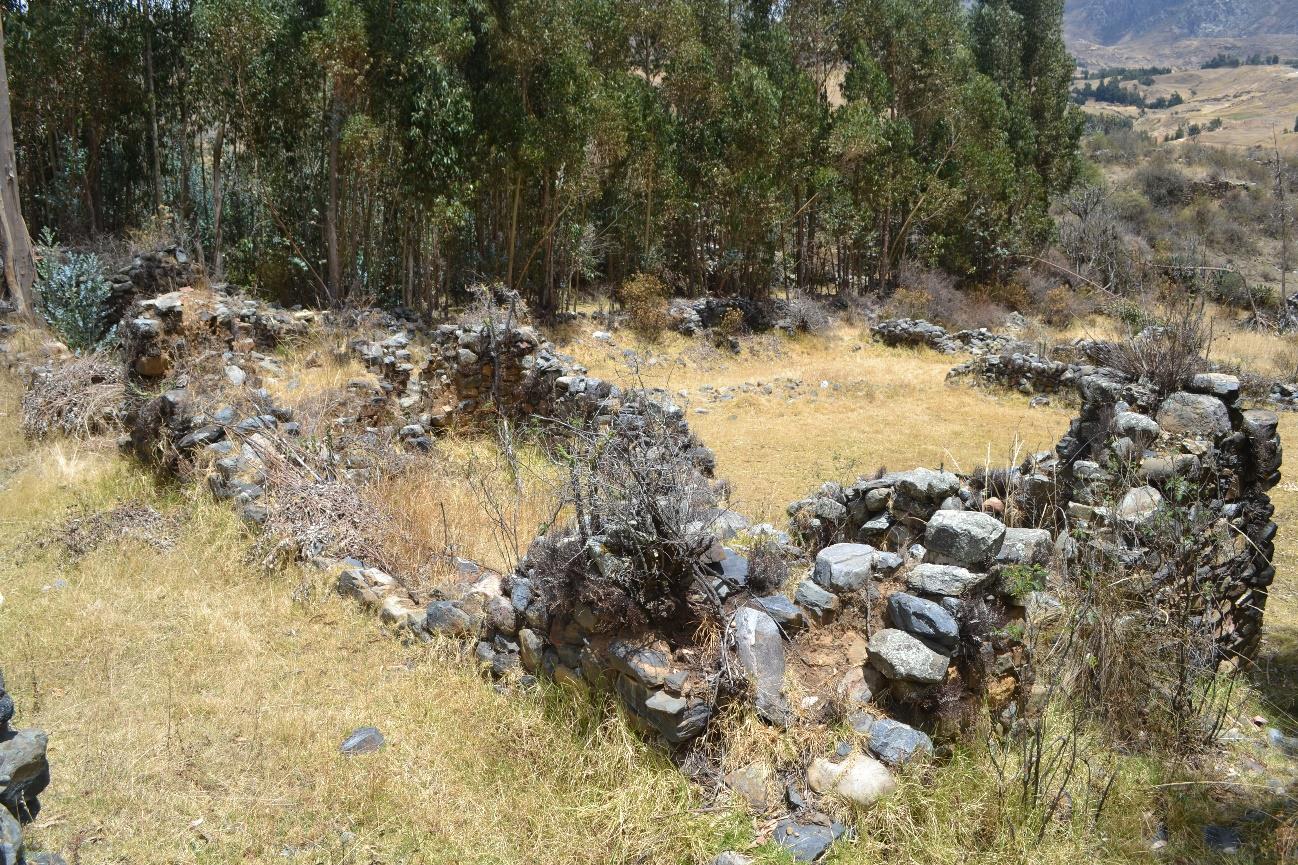 Pueblo Viejo: El sitio de Pueblo Viejo 10, presenta la típica planificación Inca de construcción de establecimientos ubicados a la vera del camino Inca.