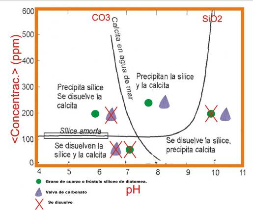 PROCESOS DE PRECIPITACIÓN N Y DISOLUCIÓN N EN RELACIÓN N CON EL PH La preservación n de los componentes silíceos o carbonáticos de un depósito sedimentario que atraviesa distintas etapas de la