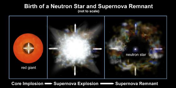 Estrella de Neutrones 10 < M < 40 Remanentes de una Supernova
