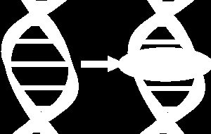 MUTACIÓN Cualquier cambio en la secuencia de nucleótidos del ADN Tipos: Mutación somática