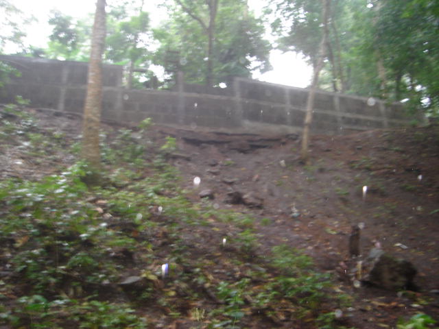 Fotografía 1. Vista parcial del relieve del sitio de la lotificación.. Comunidad El Valle.