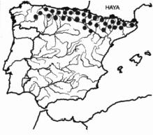 Ejercicios sobre vegetación española 1.- Observa la distribución de las especies vegetales representadas en los siguiente mapas y responde a las cuestiones: a).