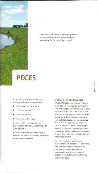 ProBiota, Serie Técnica y Didáctica 21(30) - 2013 9 Lamas, C y O.B.Oliveros. 2006. Peces.