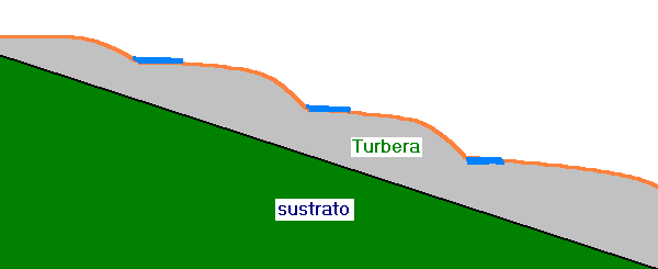 La influencia de las turberas sobre las cuencas hídricas.