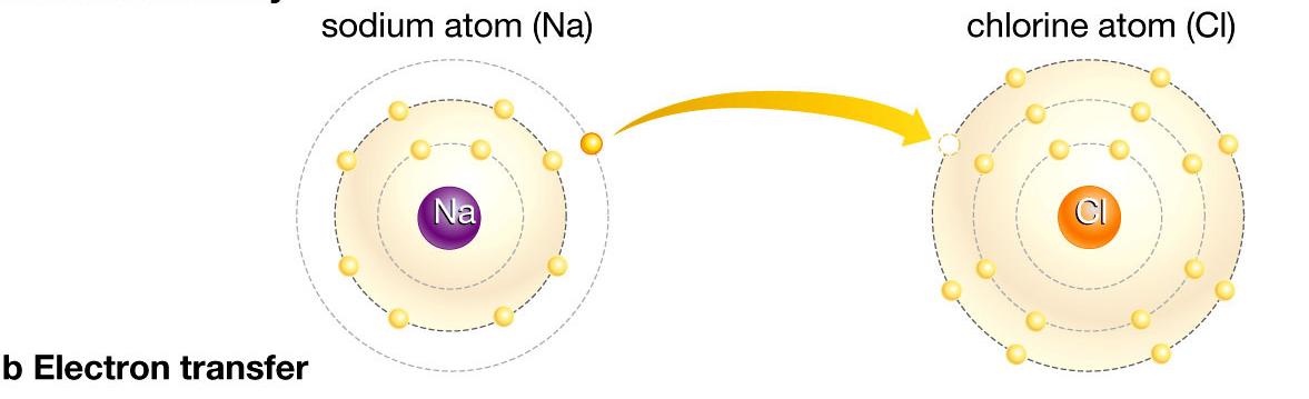 Enlace Ionico: Sodio dona un electron a cloro. El electron se transfiere totalmente al atomo de cloro.