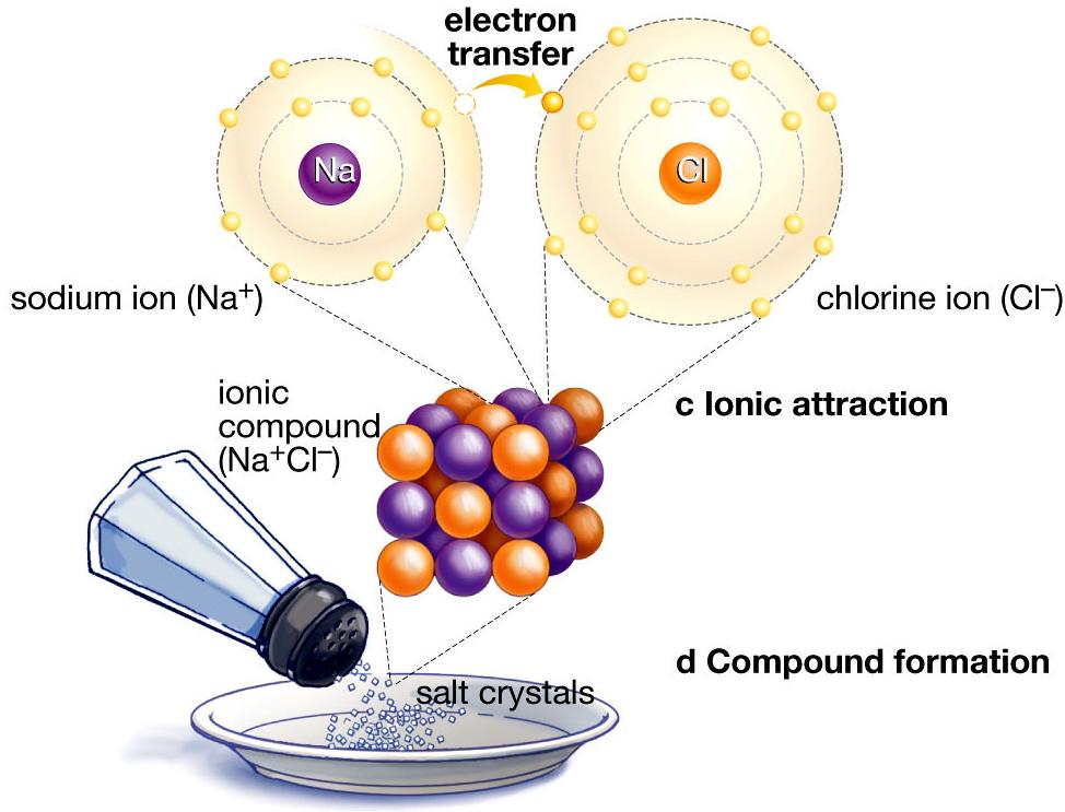 Enlace Ionico: Cargas electricas opuestas se atraen. Dos iones con cargas electricas opuestas se atraen.