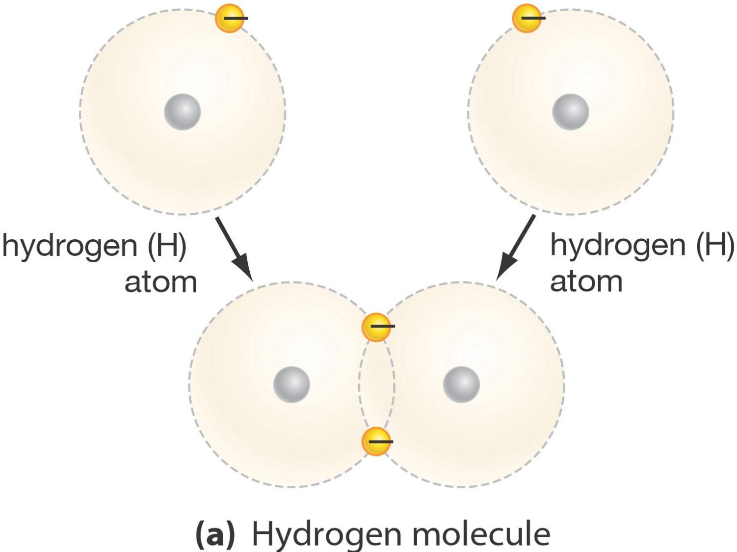 Enlace Covalente: Atomos comparten electrones para completar su Regla del Octeto.