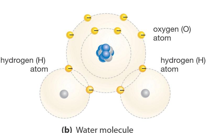 Enlaces covalentes: Por su tamano, algunos atomos tienen afinidad desigual hacia los electrones.