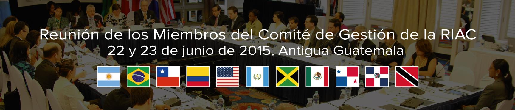 En preparación del IX Foro de de las Américas que tendrá lugar los días 16 y 18 de noviembre de 2015 en la Ciudad de Guatemala Índice 1.