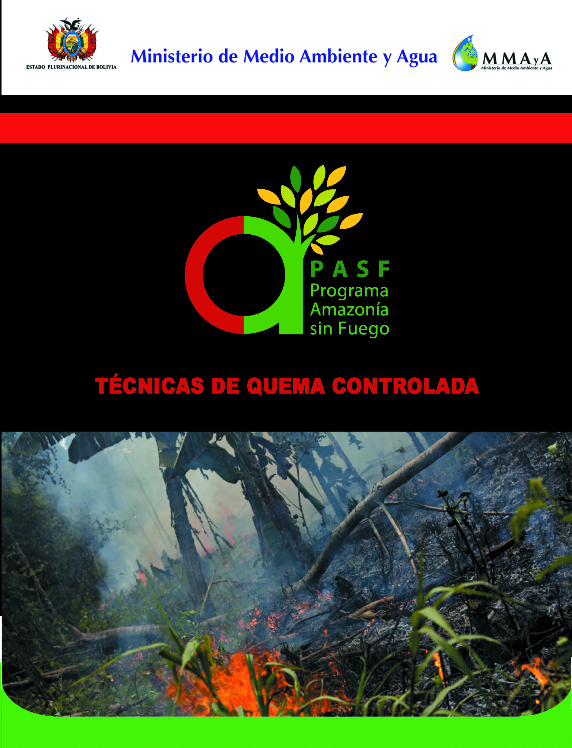 Programa Amazonía sin Fuego -