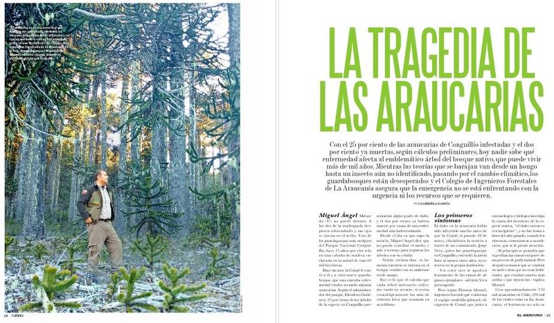 Reportaje de la Revista Sábado de El Mercurio, que abordó el problema