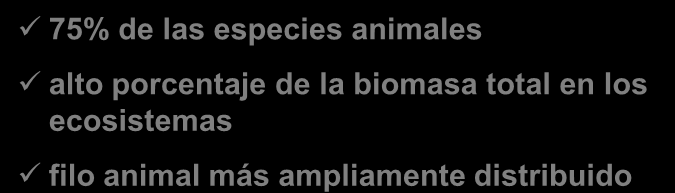 Arthrom: unión o articulación y Podos: pie Arthrom: unión o articulación y Podos: pie 75% de las especies animales alto porcentaje de la biomasa total en los ecosistemas filo animal más ampliamente