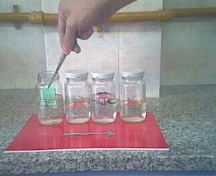 Preparación de tejidos para microscopia óptica Deshidratación.