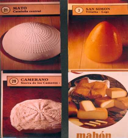 Tipos de quesos 2.