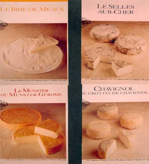 Tipos de quesos 4