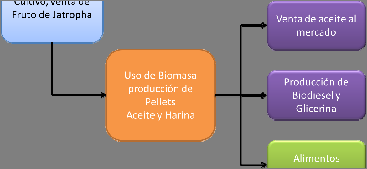 MODELO DE NEGOCIO 2 Basado en paquetes tecnológicos como se ilustra en el siguiente diagrama Figura 6. Modelo de negocio 2. Tabla 16. Costos del cultivo por riego.