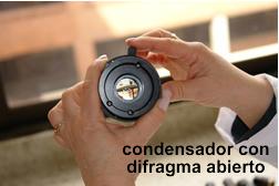 Diafragma-iris Es una cortinilla que regula la cantidad de luz que entra en el condensador, eliminando los rayos demasiado desviados. Se acciona mediante una perilla.