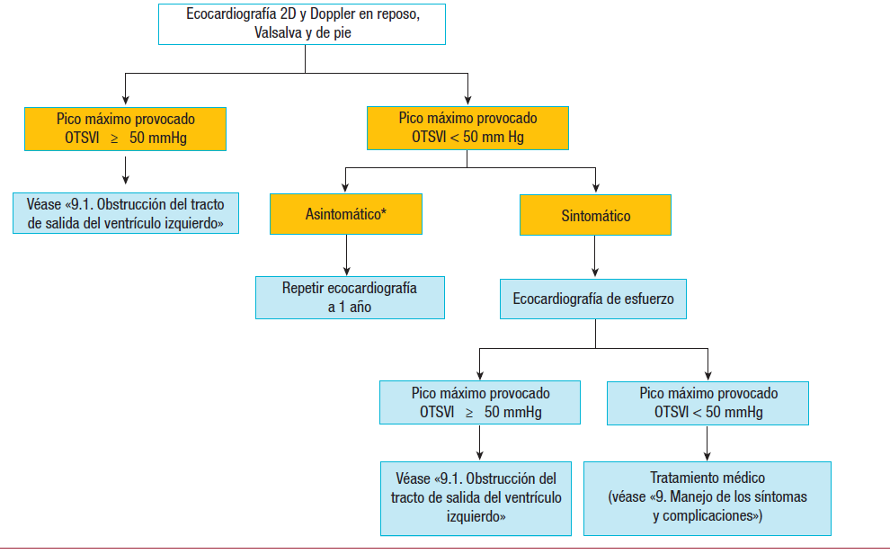 Guia de practica clinica de la ESC 2014 sobre el diagnostico y manejo