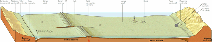 El relieve del fondo oceánico En el fondo de los océanos se pueden diferenciar tres grandes zonas, por su profundidad y su relieve.