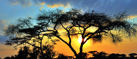 Visitando: Nairobi Amboseli Montes Aberdare Lago Nakuru Masái Mara Salidas: Lunes Duración: 7 días / 6 noches Alimentos: 6 desayunos, 5 almuerzos y 6 cenas ITINERARIO DE VIAJE: DÍA 01 NAIROBI Llegada