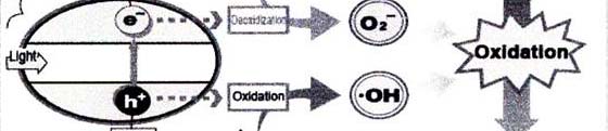Mecanismo de eliminación de los contaminantes El foton es adsorbido sobre la superficie Se genera el par electrón-hueco Procesos altamente t oxidantes El par electrón-hueco promovido por el fotón