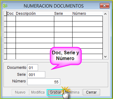 Ingresar los datos del Documento en la Tabla numeración de Documentos.