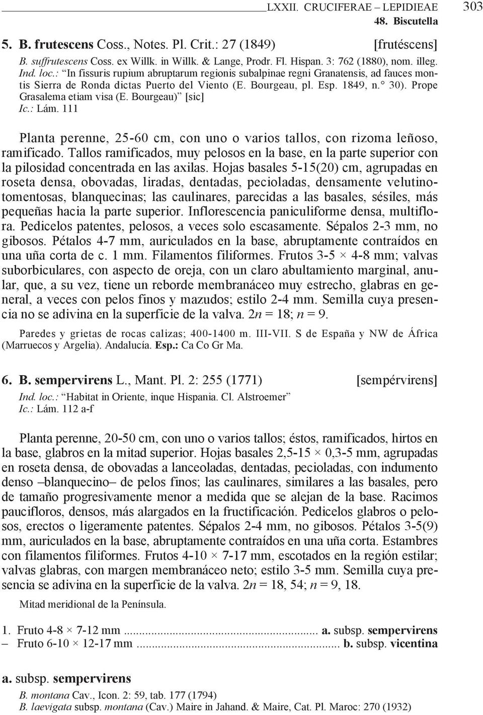 Bourgeau) [sic] Ic.: Lám. 111 Planta perenne, 25-60 cm, con uno o varios tallos, con rizoma leñoso, ramificado.