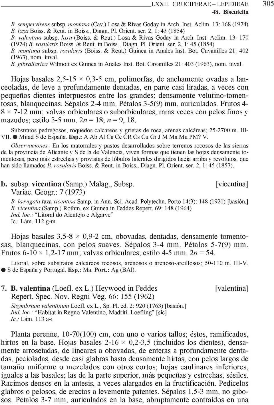 montana subsp. rosularis (Boiss. & Reut.) Guinea in Anales Inst. Bot. Cavanilles 21: 402 (1963), nom. inval. B. gibraltarica Wilmott ex Guinea in Anales Inst. Bot. Cavanilles 21: 403 (1963), nom.