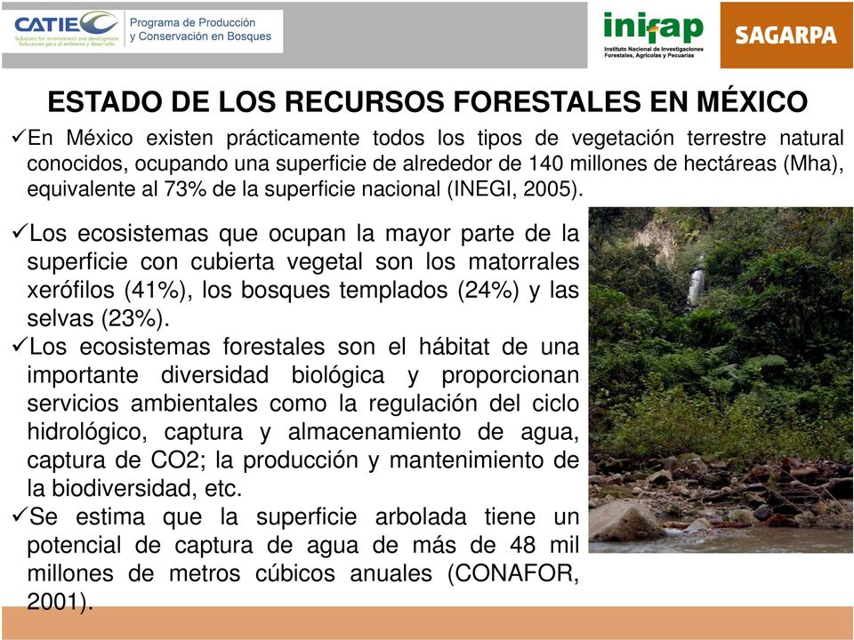Los ecosistemas que ocupan la mayor parte de la superficie con cubierta vegetal son los matorrales xerófilos (41%), los bosques templados (24%) y las selvas (23%).