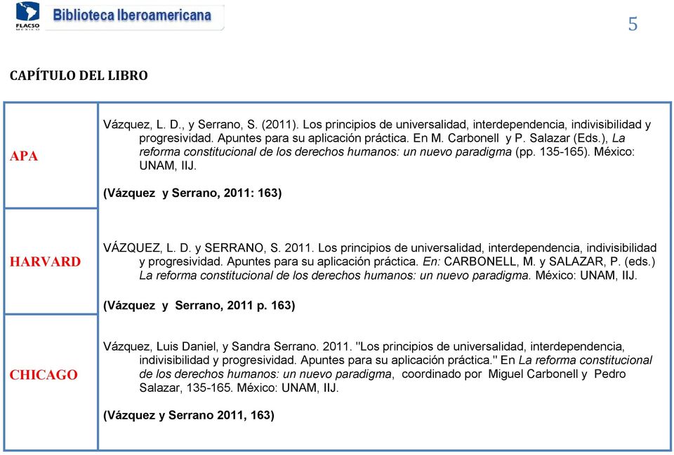 163) VÁZQUEZ, L. D. y SERRANO, S. 2011. Los principios de universalidad, interdependencia, indivisibilidad y progresividad. Apuntes para su aplicación práctica. En: CARBONELL, M. y SALAZAR, P. (eds.
