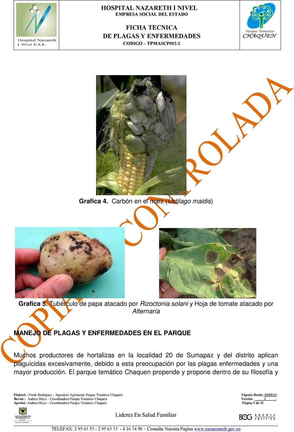 productores de hortalizas en la localidad 20 de Sumapaz y del distrito aplican plaguicidas excesivamente, debido a esta