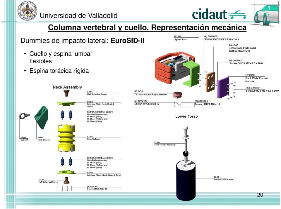 impacto lateral: EuroSID-II Cuello y