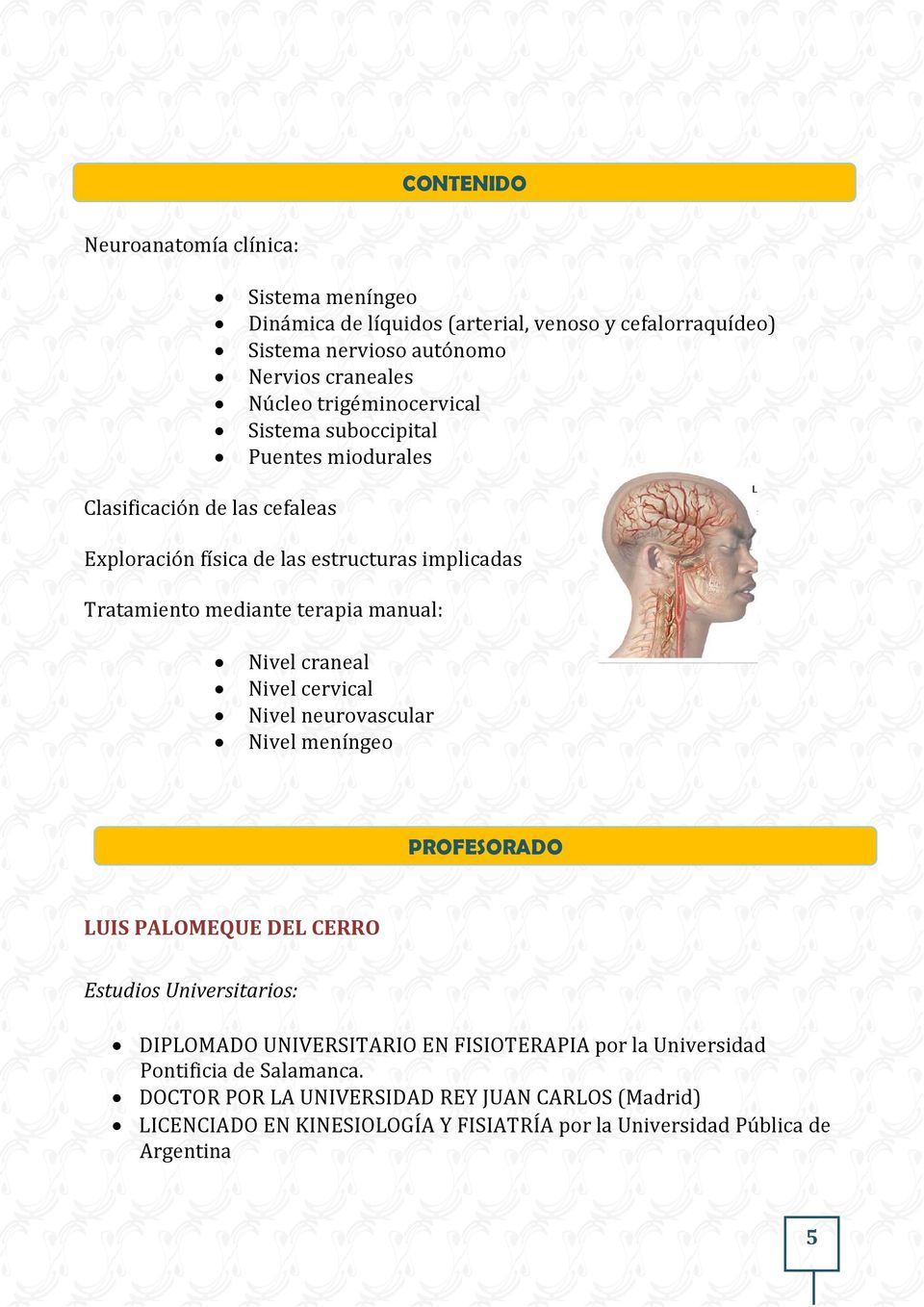 manual: Nivel craneal Nivel cervical Nivel neurovascular Nivel meníngeo PROFESORADO LUIS PALOMEQUE DEL CERRO Estudios Universitarios: DIPLOMADO UNIVERSITARIO EN