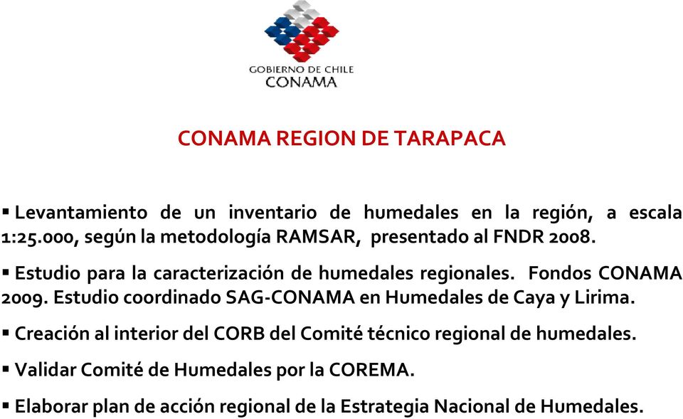 Fondos CONAMA 2009. Estudio coordinado SAG-CONAMA en Humedales de Caya y Lirima.