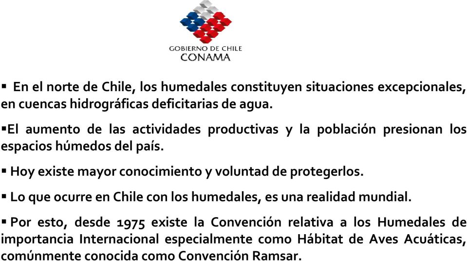 Hoy existe mayor conocimiento y voluntad de protegerlos. Lo que ocurre en Chile con los humedales, es una realidad mundial.