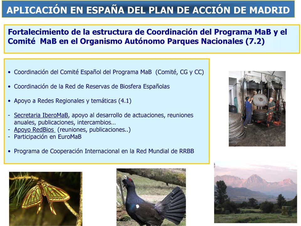 2) Coordinación del Comité Español del Programa MaB (Comité, CG y CC) Coordinación de la Red de Reservas de Biosfera Españolas Apoyo a Redes