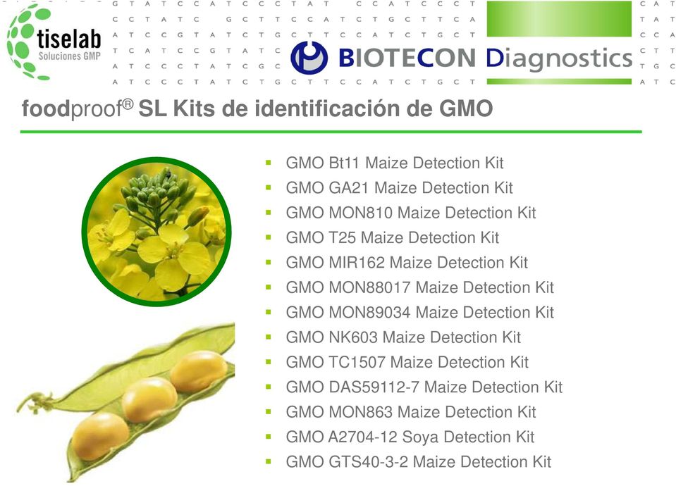 GMO MON89034 Maize Detection Kit GMO NK603 Maize Detection Kit GMO TC1507 Maize Detection Kit GMO DAS59112-7