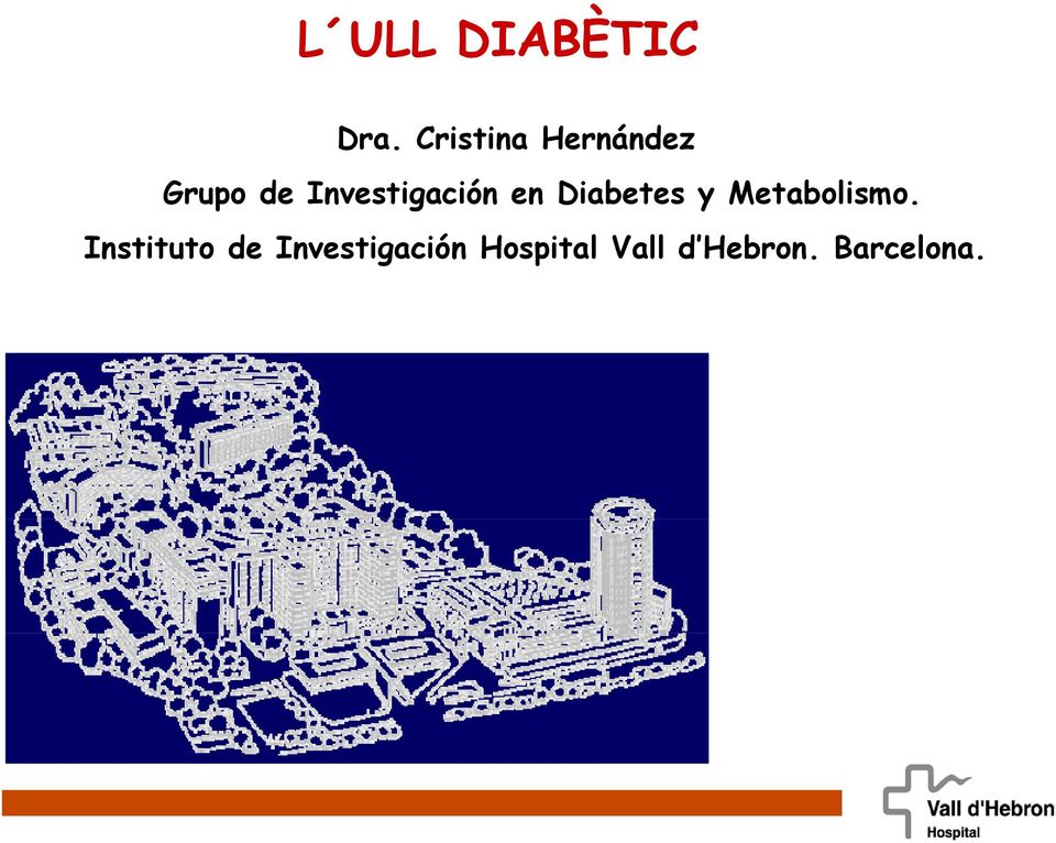 Investigación en Diabetes y