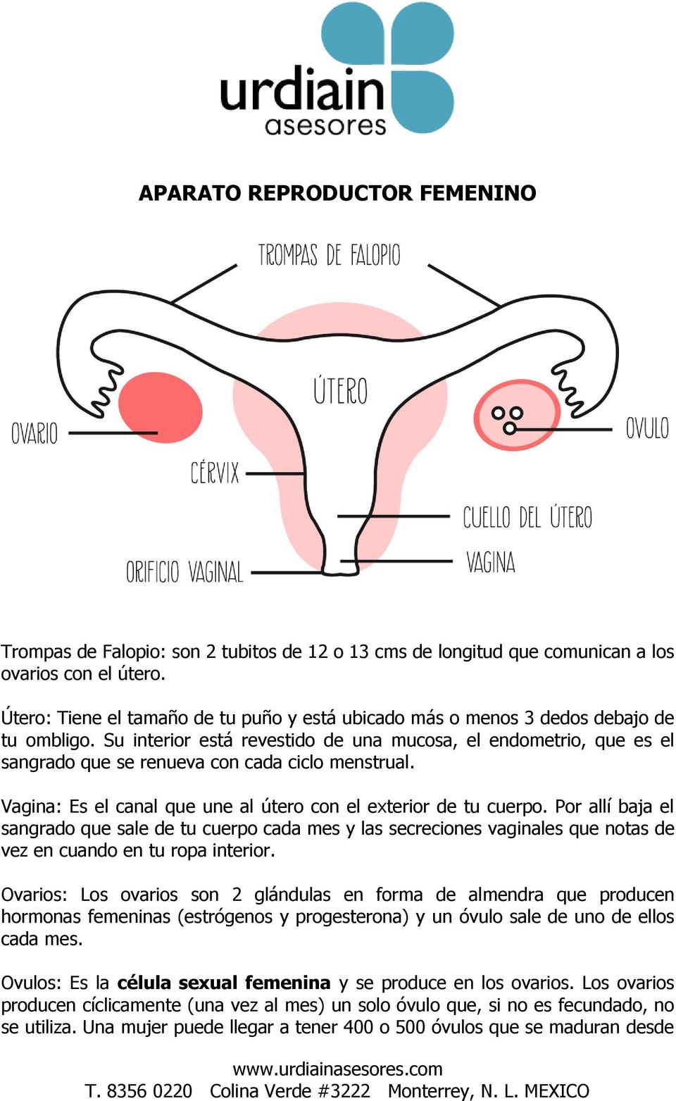 Su interior está revestido de una mucosa, el endometrio, que es el sangrado que se renueva con cada ciclo menstrual. Vagina: Es el canal que une al útero con el exterior de tu cuerpo.