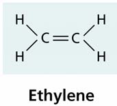 Etileno Etileno Es un hidrocarburo sencillo (H2 C=CH 2 ) Se descubrió a comienzos del siglo pasado en Alemania, cuando se demostró que el gas que perdían las lámparas de la calle era el principal