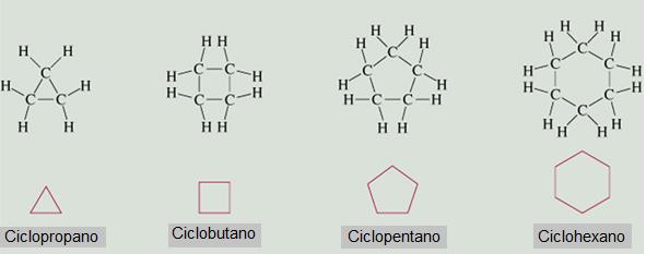 Cicloalcanos: Los alcanos en donde sus átomos de carbono se unen formando anillos se llaman cicloalcanos.