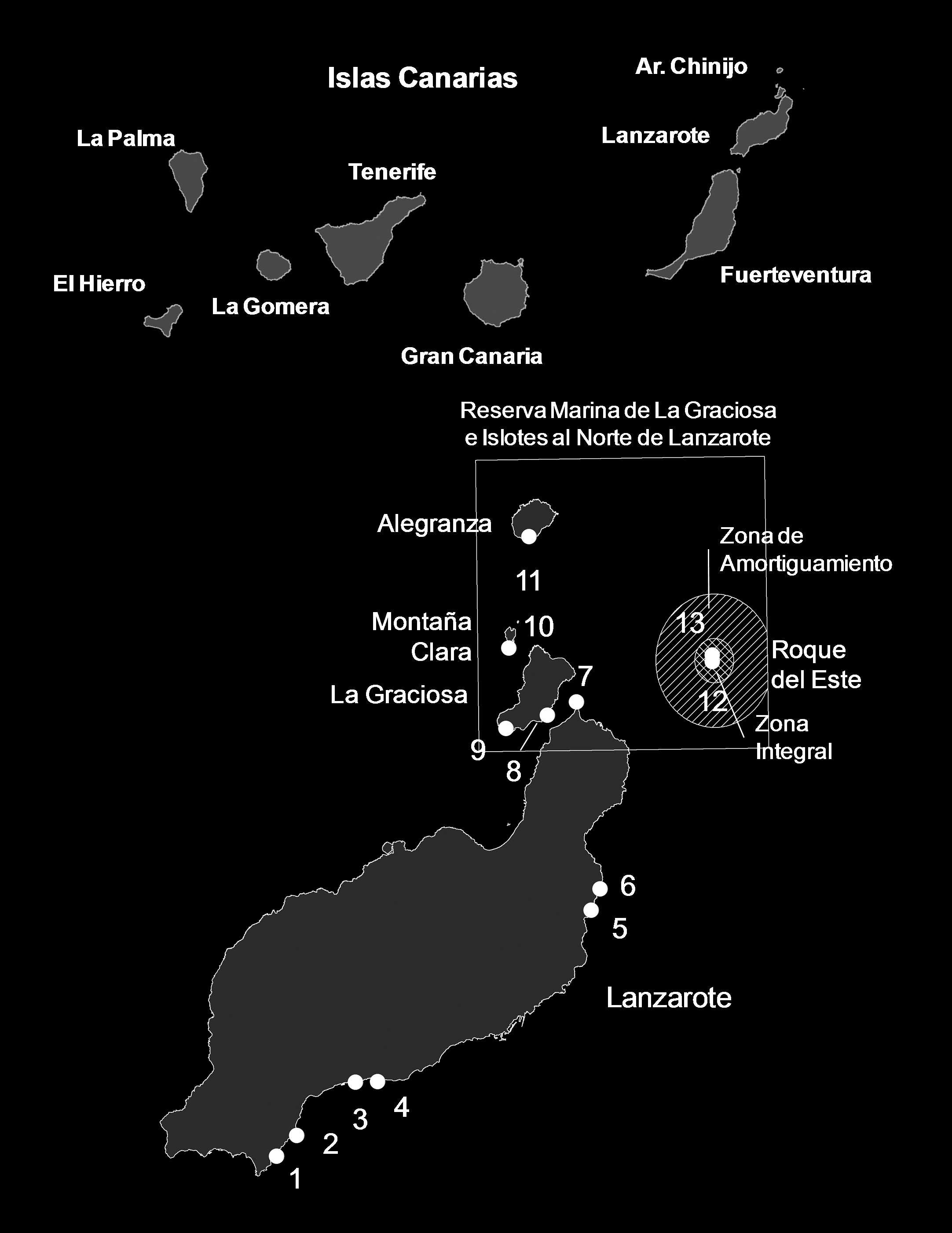 186 SANGIL ET AL. Figura 1.- Situación de las localidades estudiadas. Lanzarote: 1. Caleta Larga; 2. Punta Gorda; 3. Risco Prieto; 4. Bajón de Puerto del Carmen; 5. Los Cocoteros; 6.