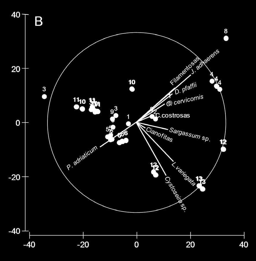 190 SANGIL ET AL. Figura 2.- Resultados del análisis de ordenación dbrda (Distance-based redundancy analysis). A. Relación entre las muestras y las variables ambientales basada en la cobertura de las especies.