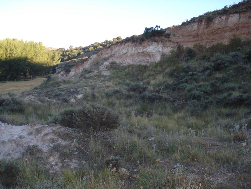 7 Sin embargo, en este lugar se observan los afloramientos de los materiales miocenos de la Depresión de Daroca Teruel Calatayud, en donde nos encontramos ahora situados, en este lugar.