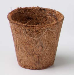 KIT 015 CAJA DISEÑO PERSONALIZADO 1 macetero fibra de coco de 5,5 x 5 cm. 100 % natural y biodegradable.