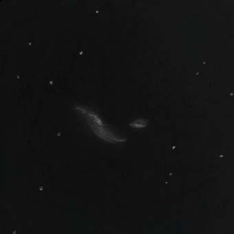 NGC 4490 Tipo: Galaxia Constelación: Coma Berenice AR: 12h 30 36 DEC: +41º 38 Distancia: 25Mal Tamaño aparente: 5,9