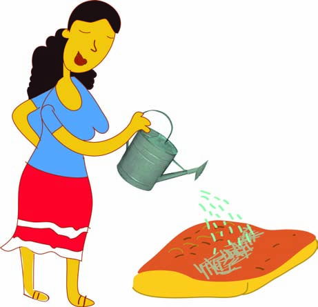 Cómo hacer el riego después de la siembra? Al principio se puede regar con regadera o manguera, para asegurarse que el agua llegue bien a la semilla.